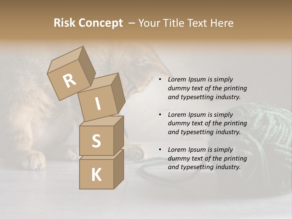 Tabby Kitten PowerPoint Template