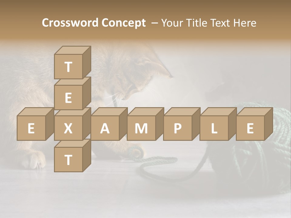 Tabby Kitten PowerPoint Template