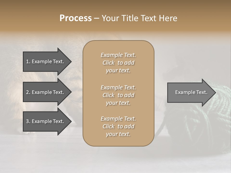 Tabby Kitten PowerPoint Template