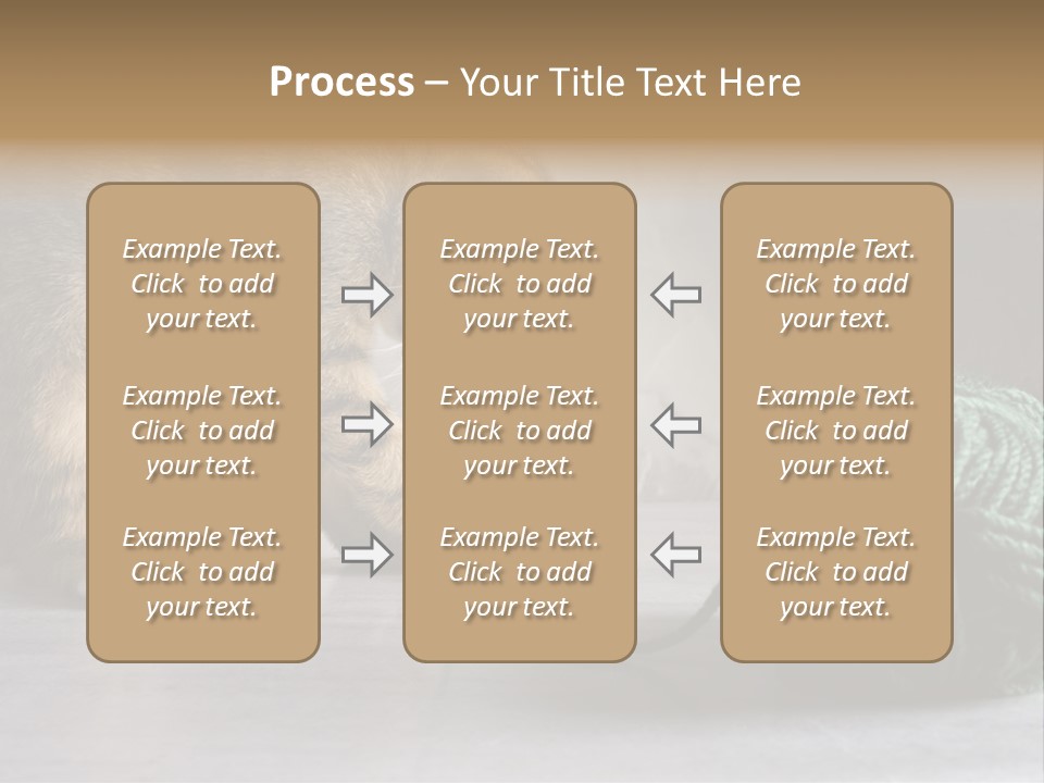 Tabby Kitten PowerPoint Template