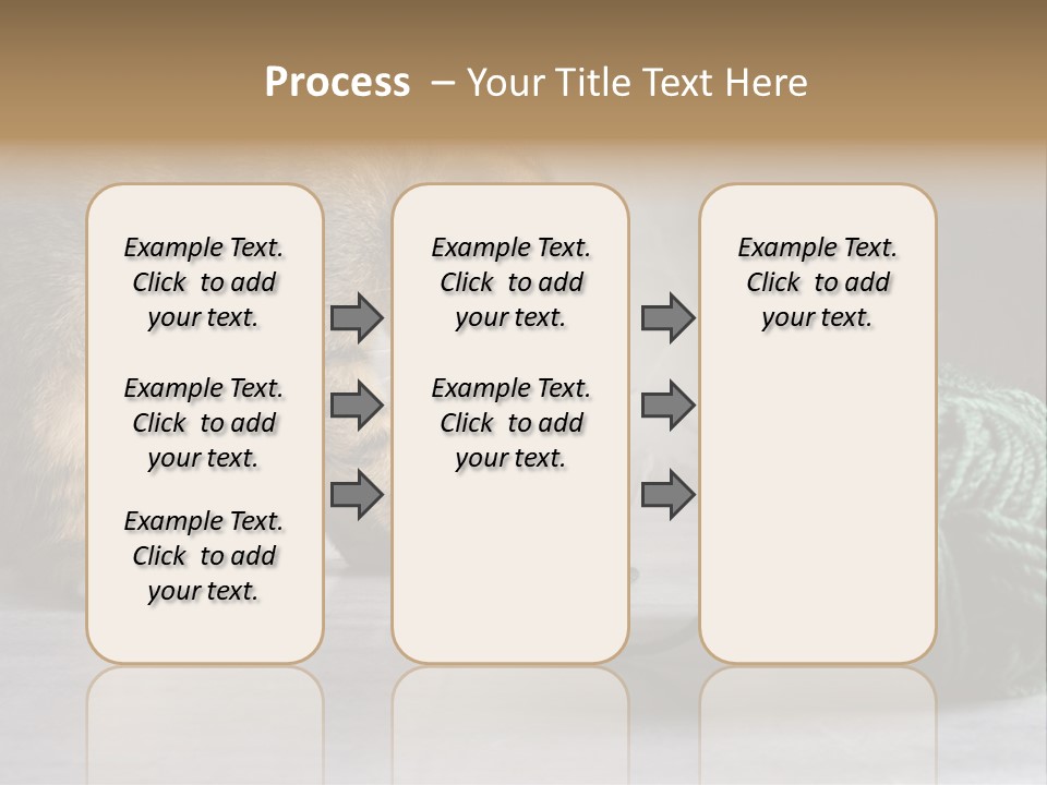 Tabby Kitten PowerPoint Template