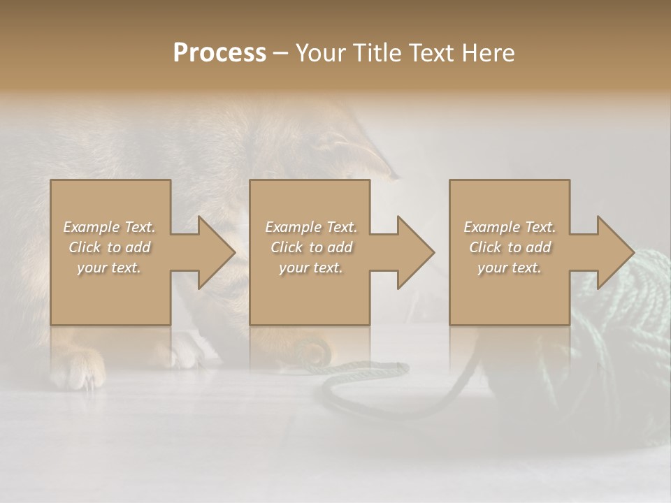 Tabby Kitten PowerPoint Template