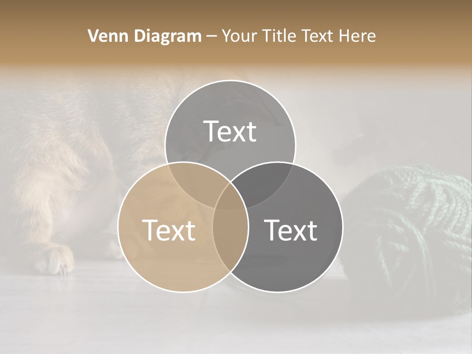 Tabby Kitten PowerPoint Template