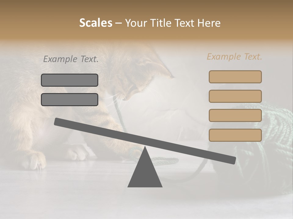 Tabby Kitten PowerPoint Template