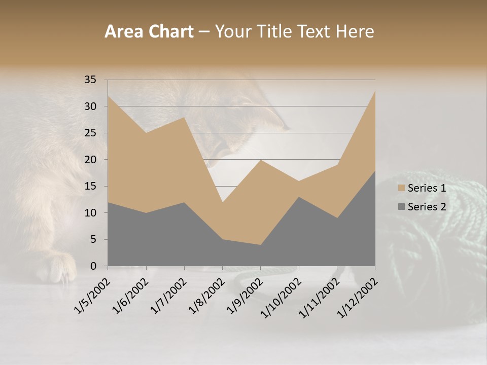 Tabby Kitten PowerPoint Template