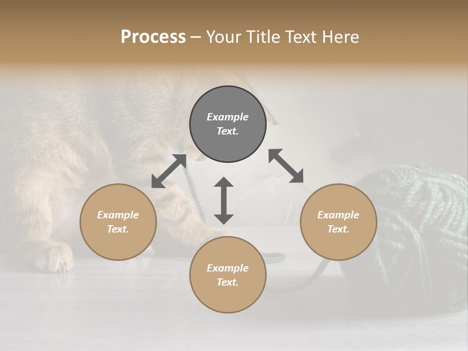 Tabby Kitten PowerPoint Template