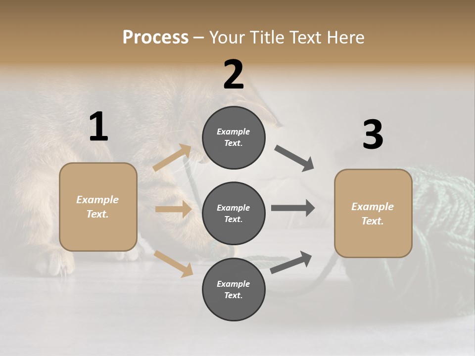 Tabby Kitten PowerPoint Template