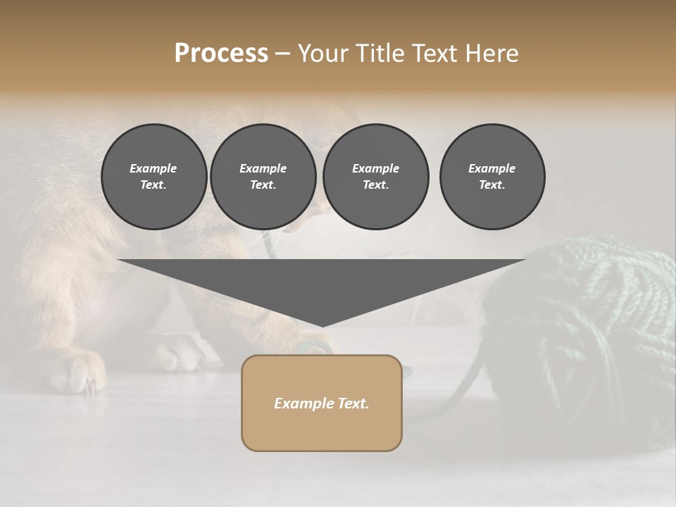 Tabby Kitten PowerPoint Template