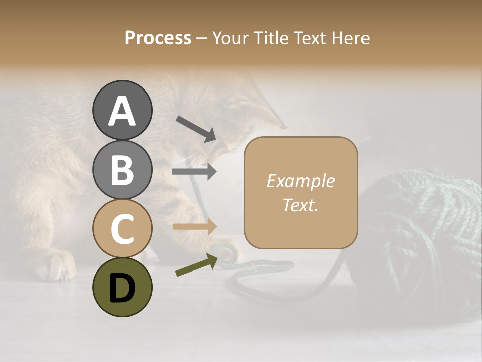 Tabby Kitten PowerPoint Template