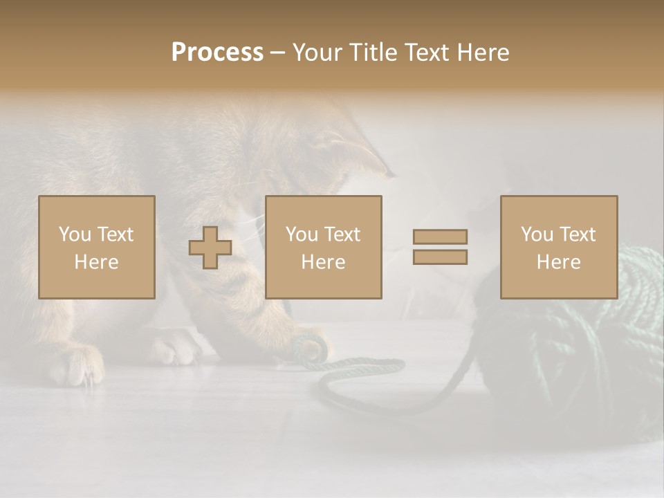 Tabby Kitten PowerPoint Template