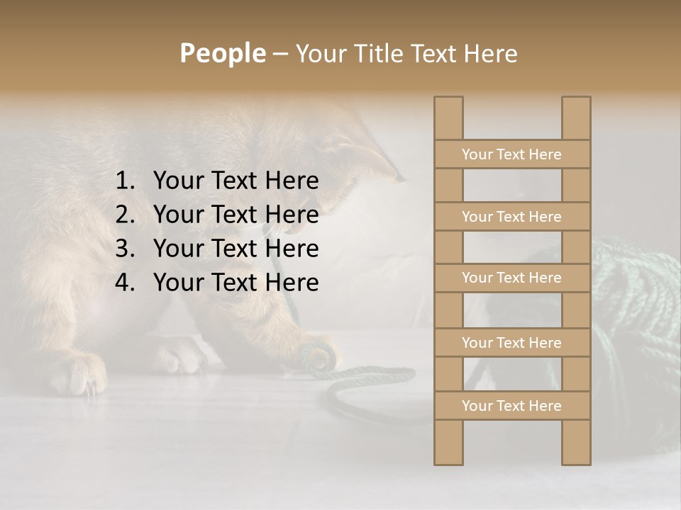 Tabby Kitten PowerPoint Template