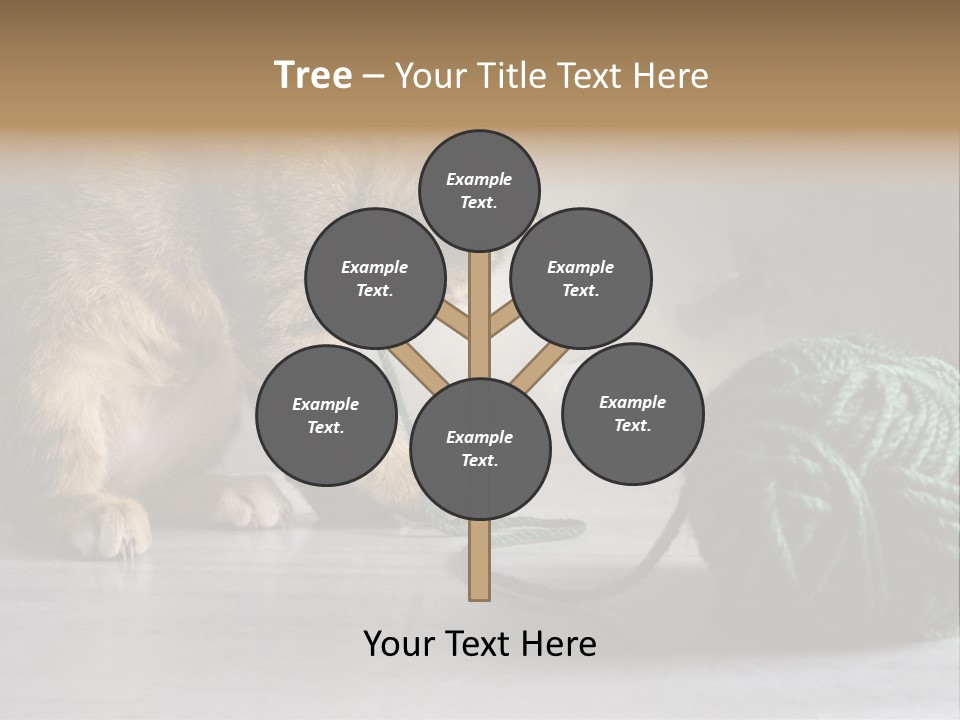 Tabby Kitten PowerPoint Template