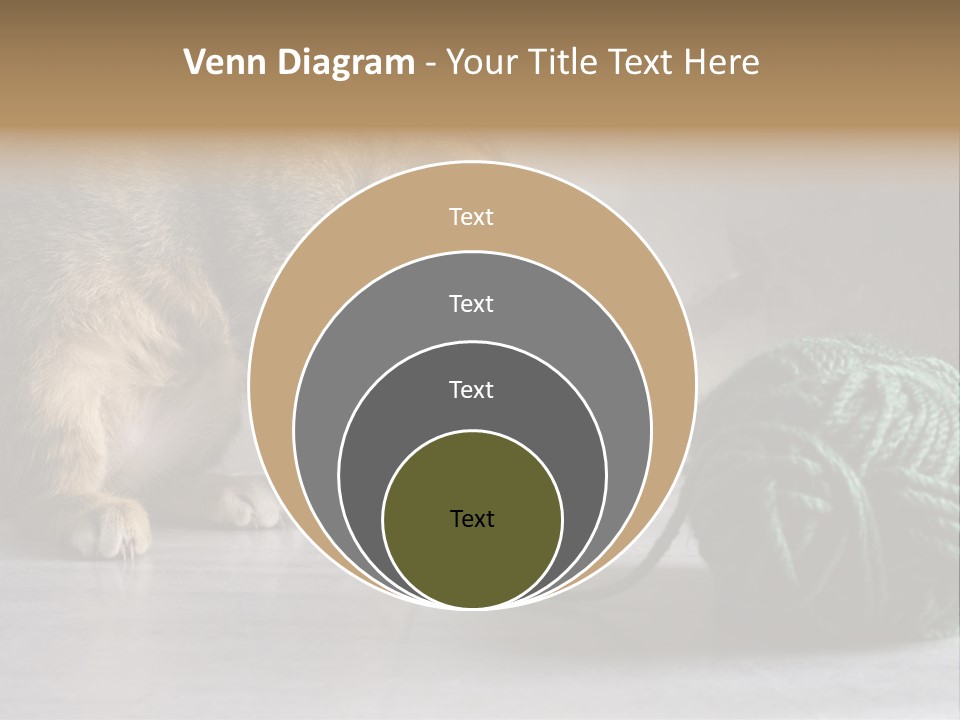 Tabby Kitten PowerPoint Template