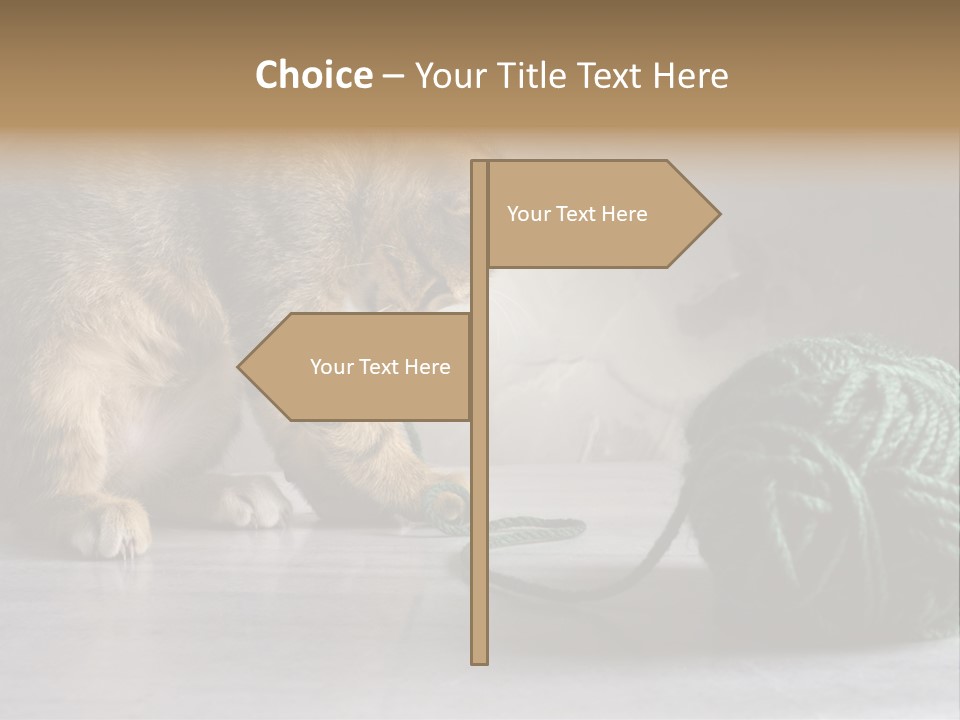 Tabby Kitten PowerPoint Template