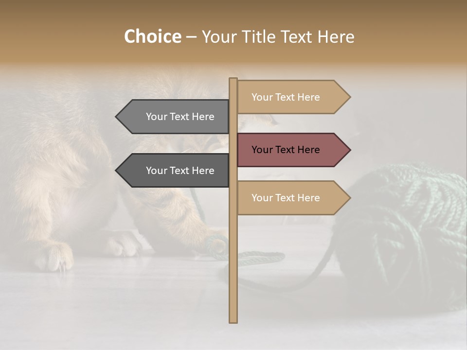 Tabby Kitten PowerPoint Template