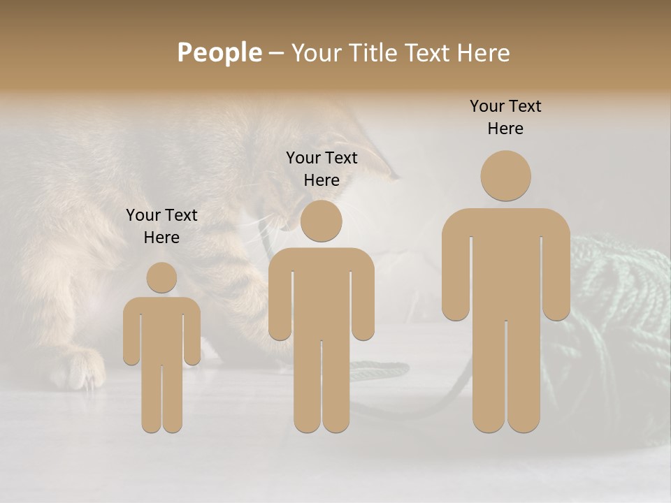 Tabby Kitten PowerPoint Template