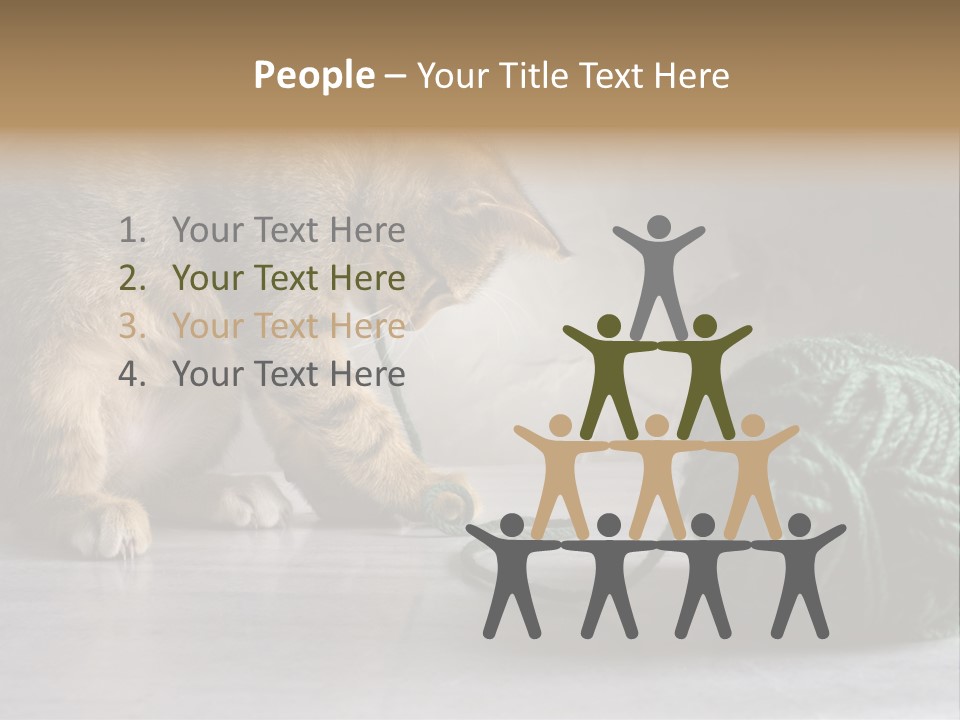 Tabby Kitten PowerPoint Template