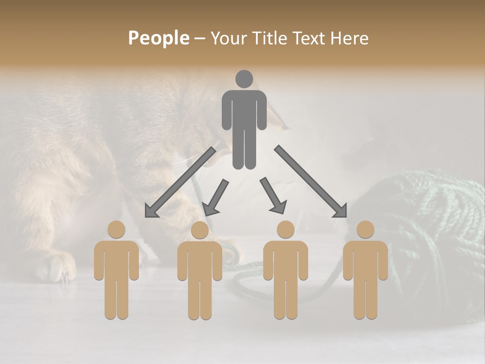Tabby Kitten PowerPoint Template