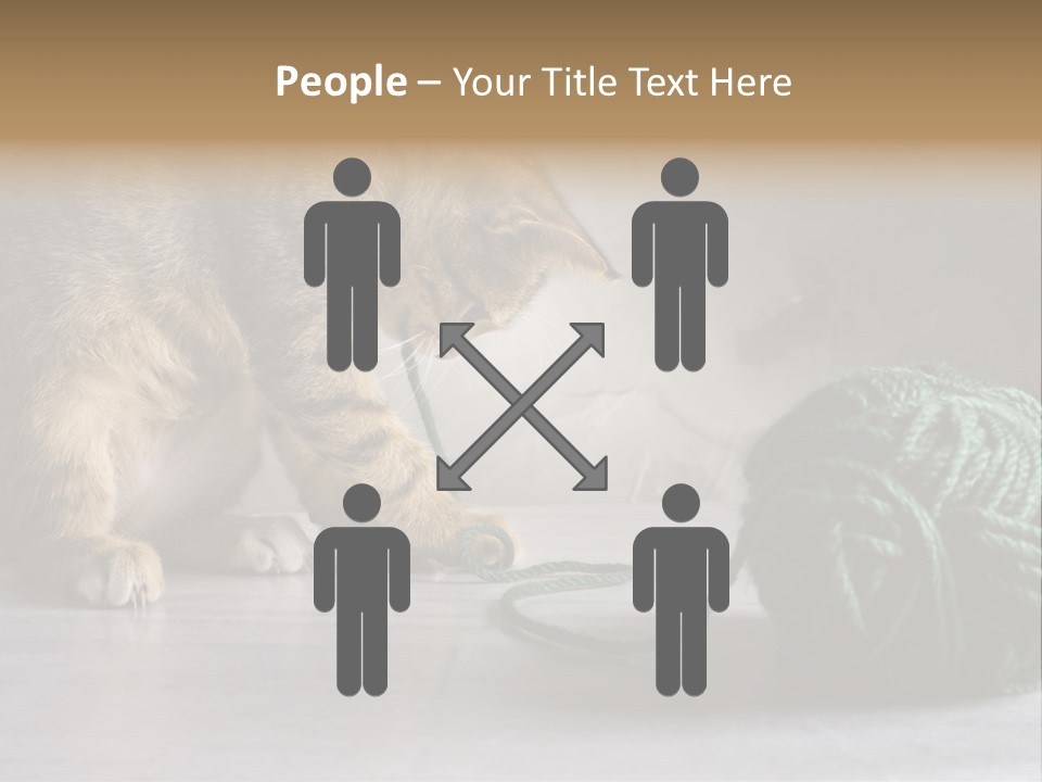 Tabby Kitten PowerPoint Template