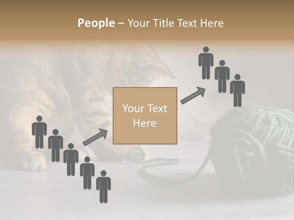 Tabby Kitten PowerPoint Template