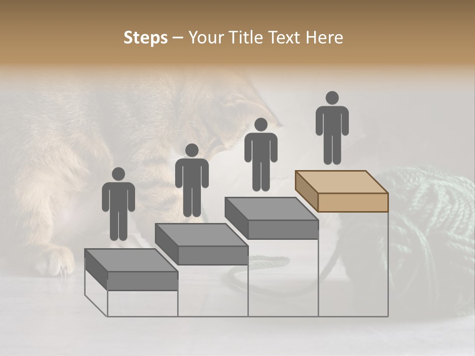 Tabby Kitten PowerPoint Template