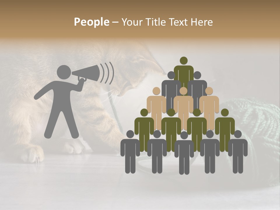 Tabby Kitten PowerPoint Template