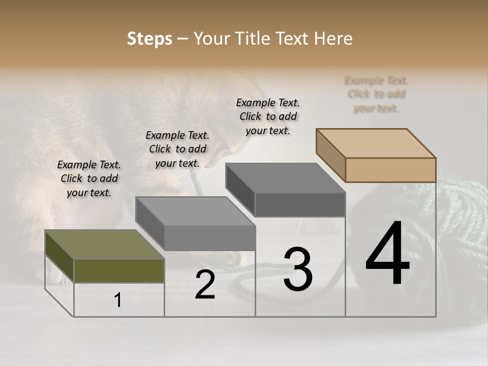 Tabby Kitten PowerPoint Template