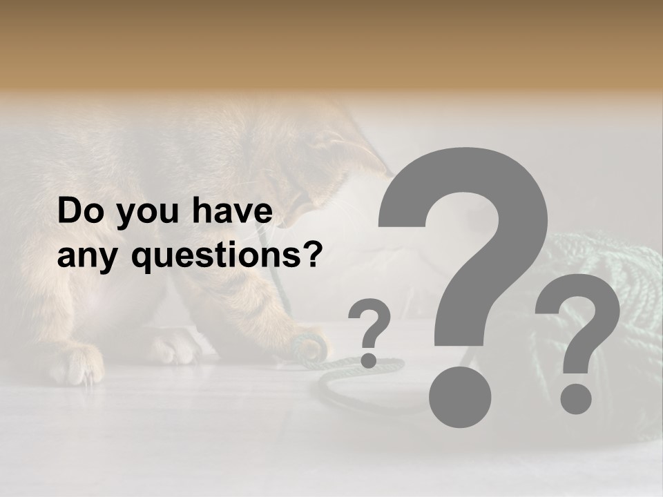 Tabby Kitten PowerPoint Template