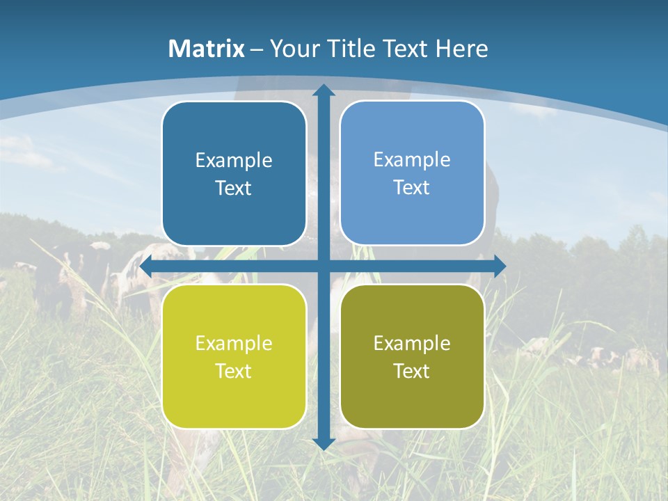 Stickers Vache PowerPoint Template