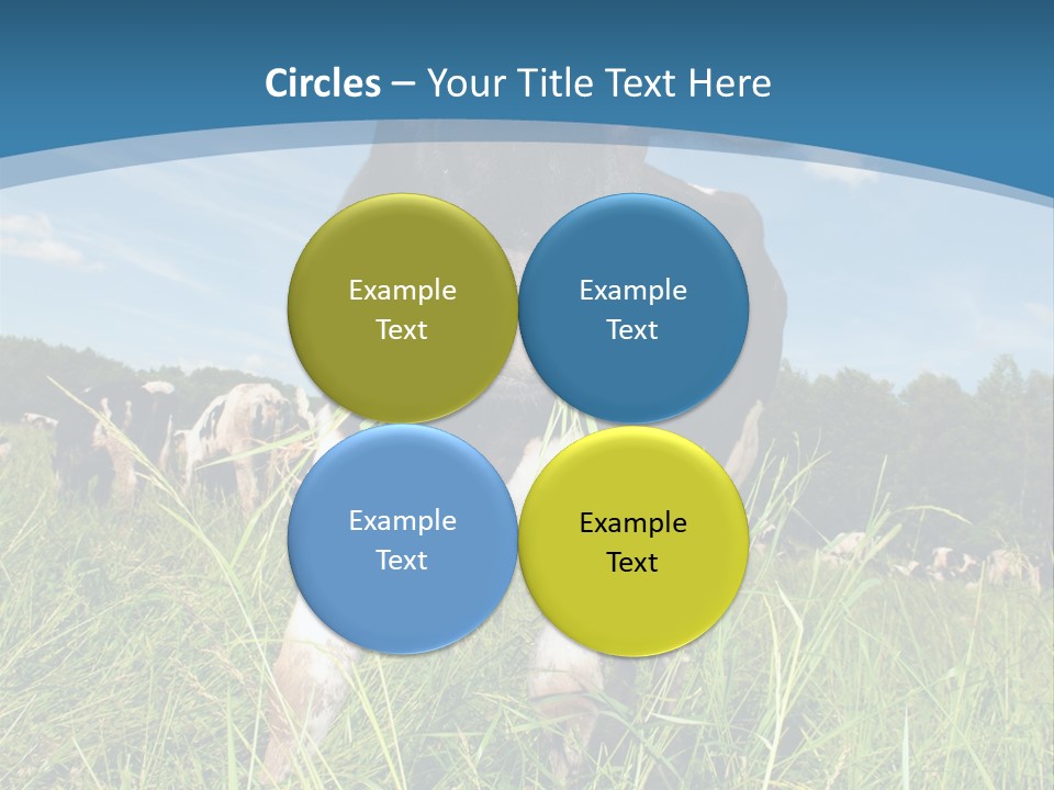 Stickers Vache PowerPoint Template