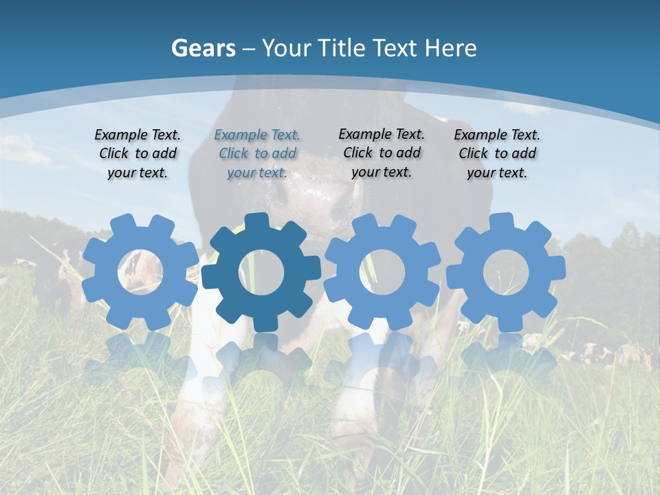 Stickers Vache PowerPoint Template