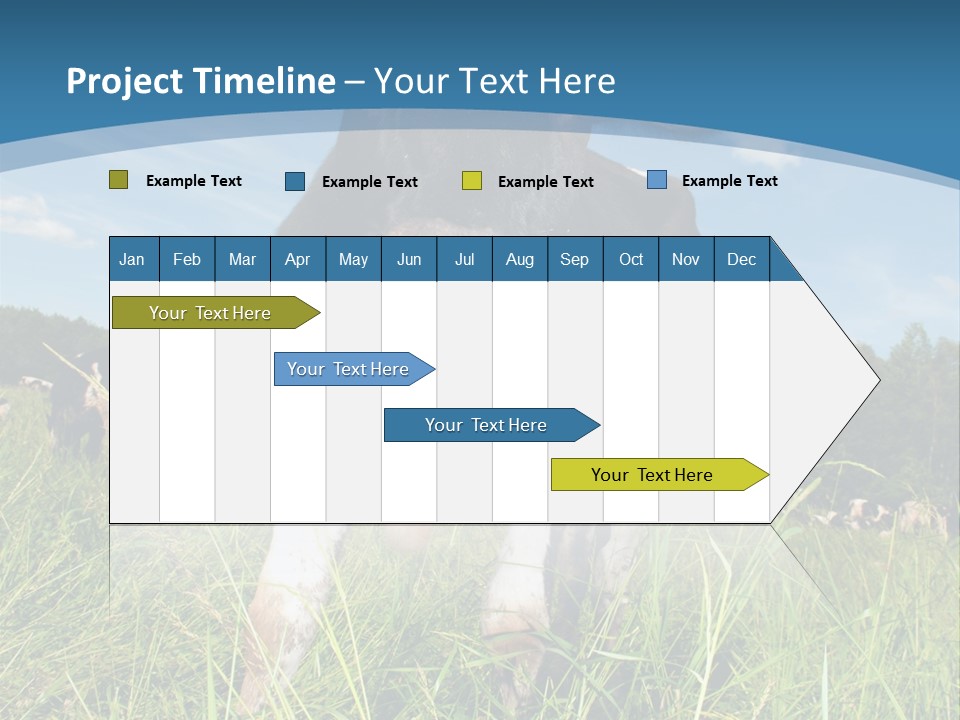 Stickers Vache PowerPoint Template