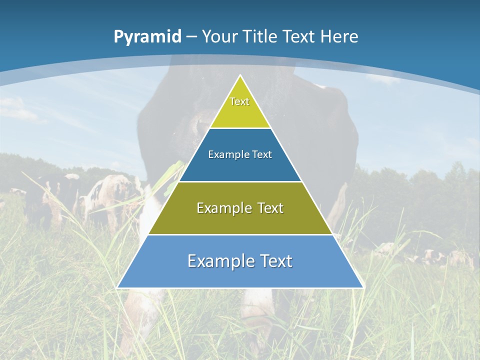 Stickers Vache PowerPoint Template