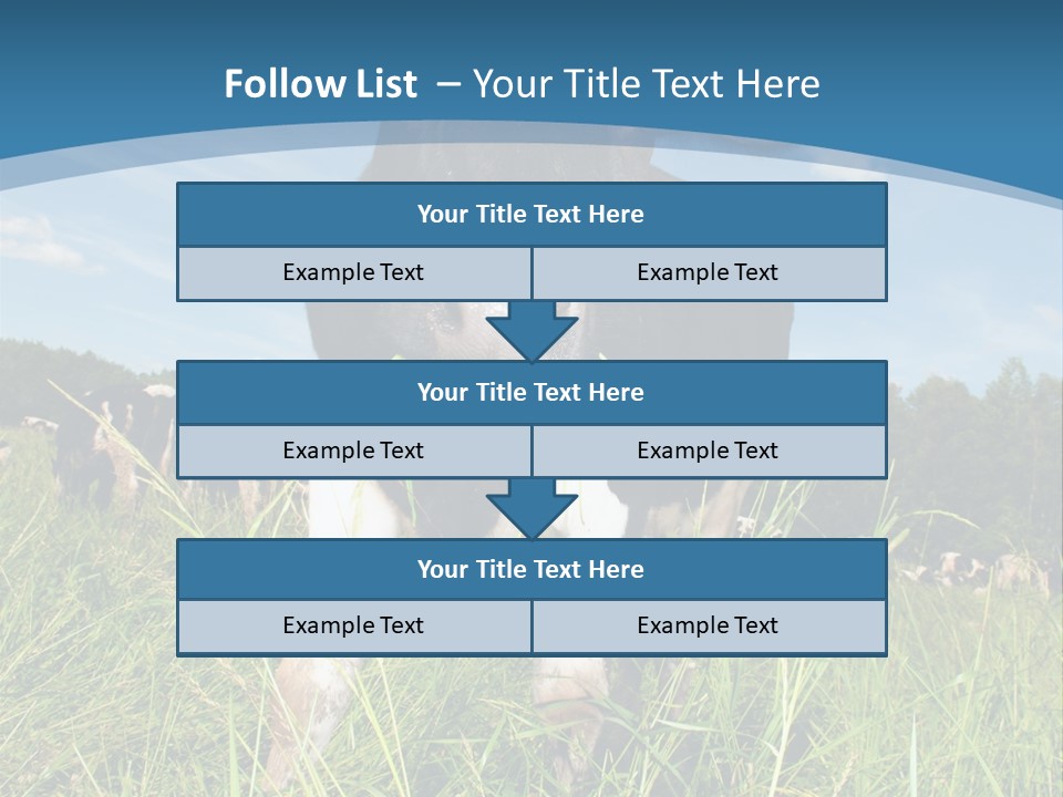 Stickers Vache PowerPoint Template