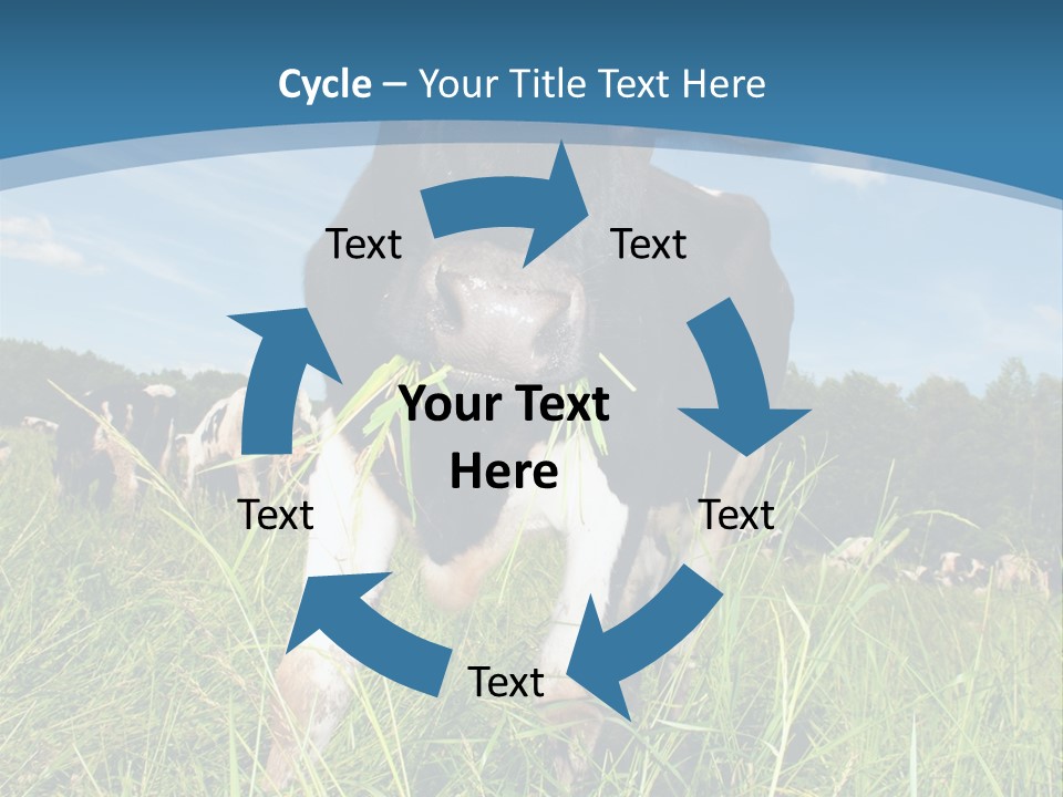 Stickers Vache PowerPoint Template