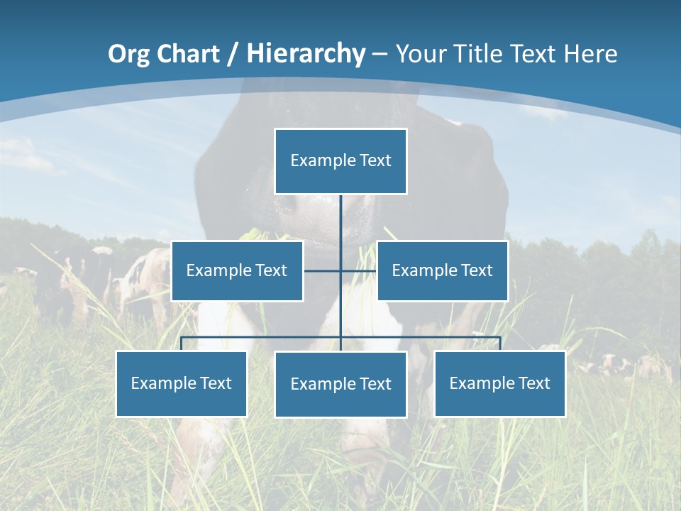 Stickers Vache PowerPoint Template