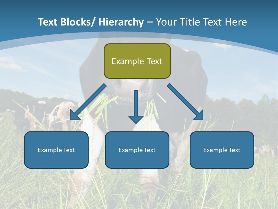 Stickers Vache PowerPoint Template