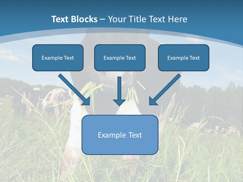 Stickers Vache PowerPoint Template