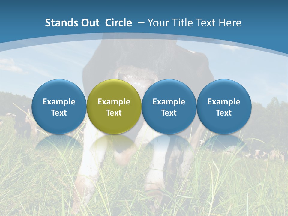 Stickers Vache PowerPoint Template