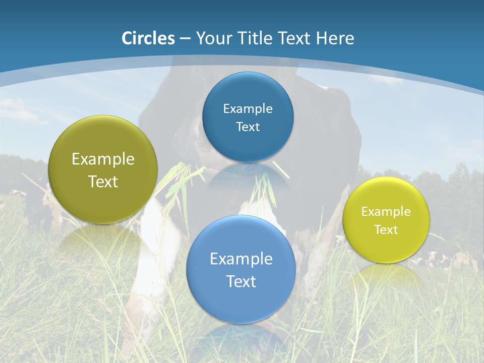 Stickers Vache PowerPoint Template