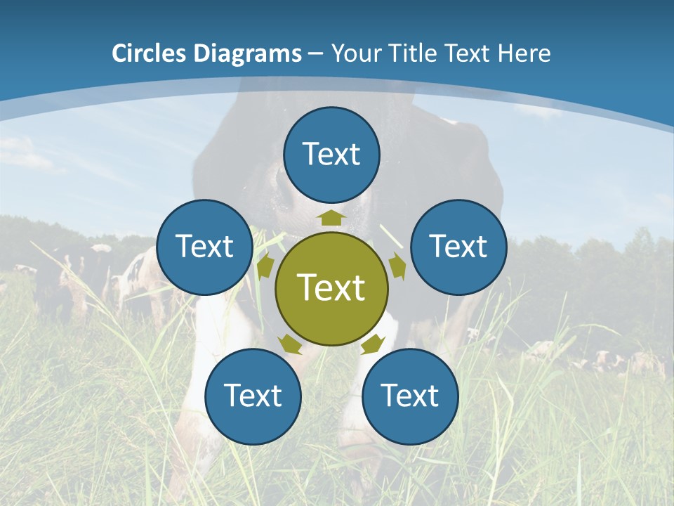 Stickers Vache PowerPoint Template