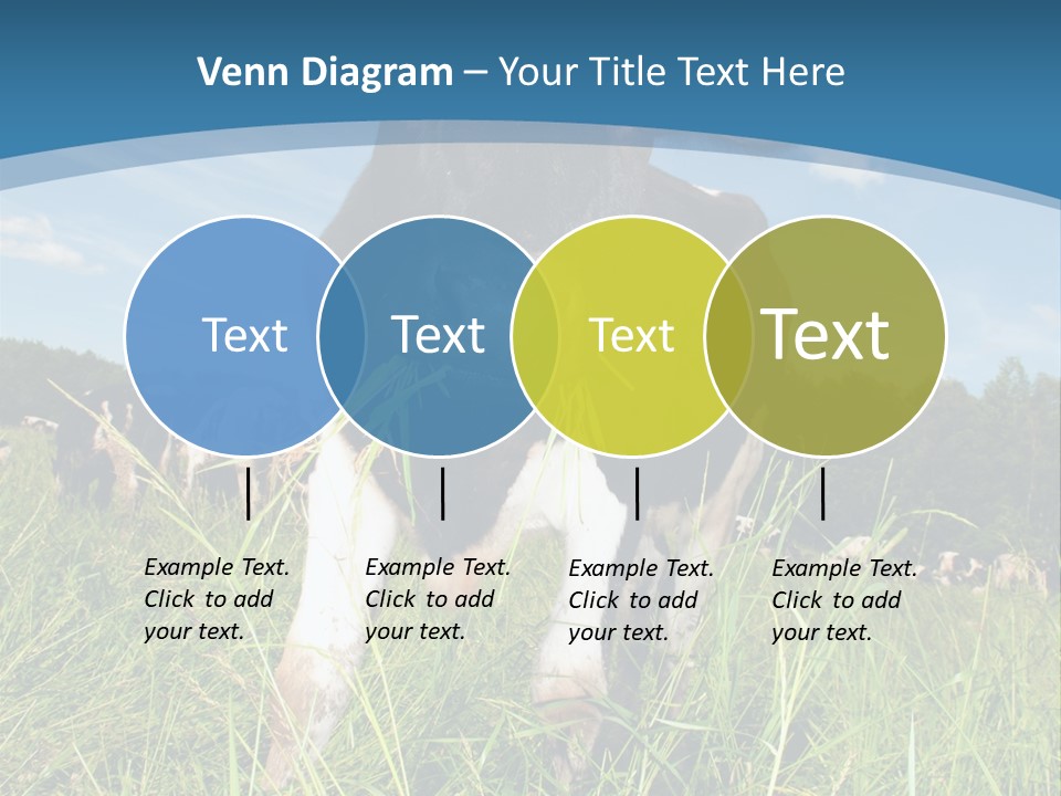 Stickers Vache PowerPoint Template