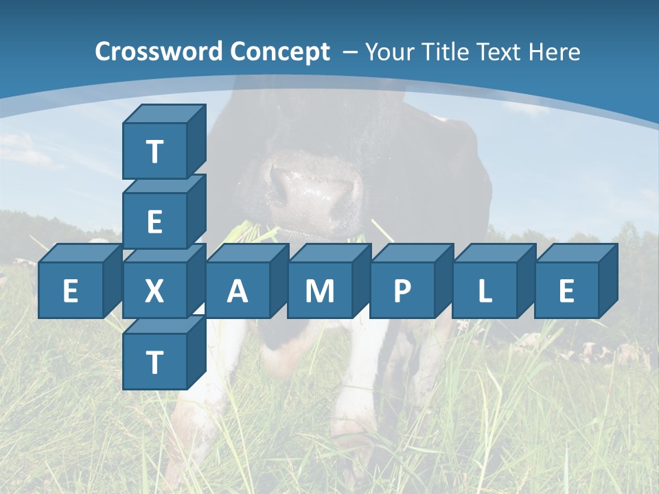 Stickers Vache PowerPoint Template