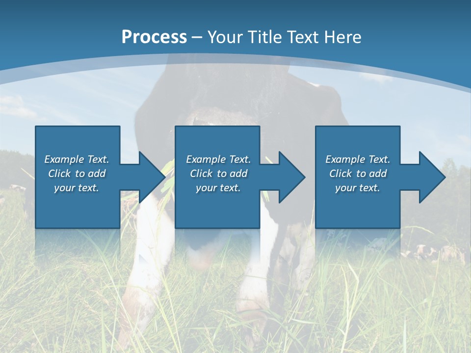 Stickers Vache PowerPoint Template