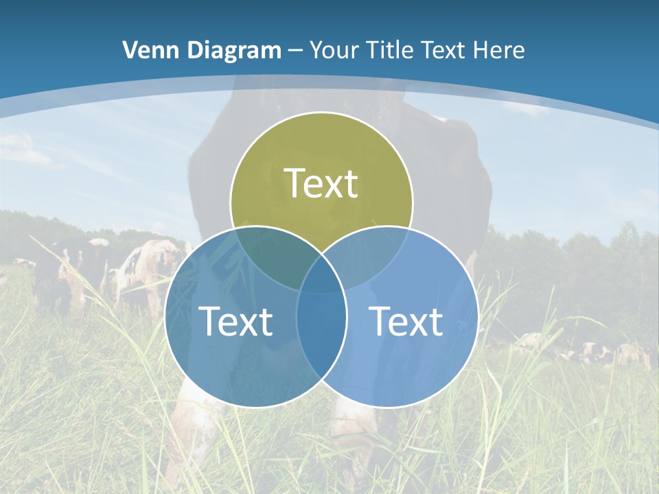 Stickers Vache PowerPoint Template