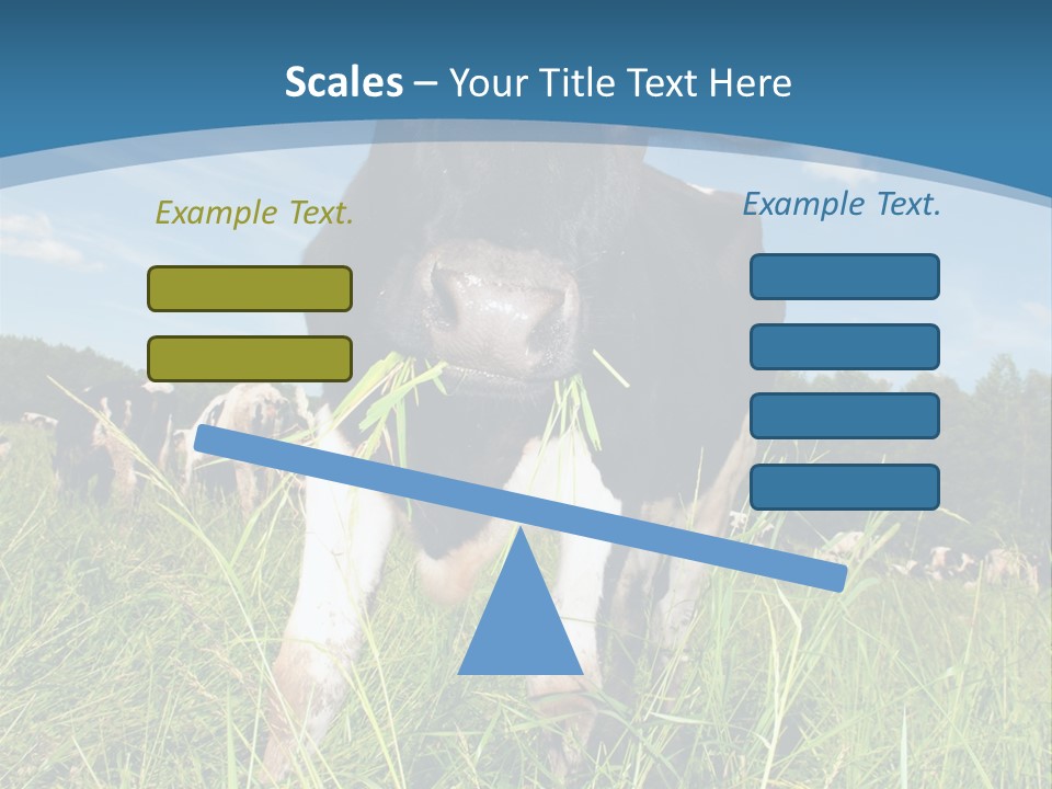 Stickers Vache PowerPoint Template