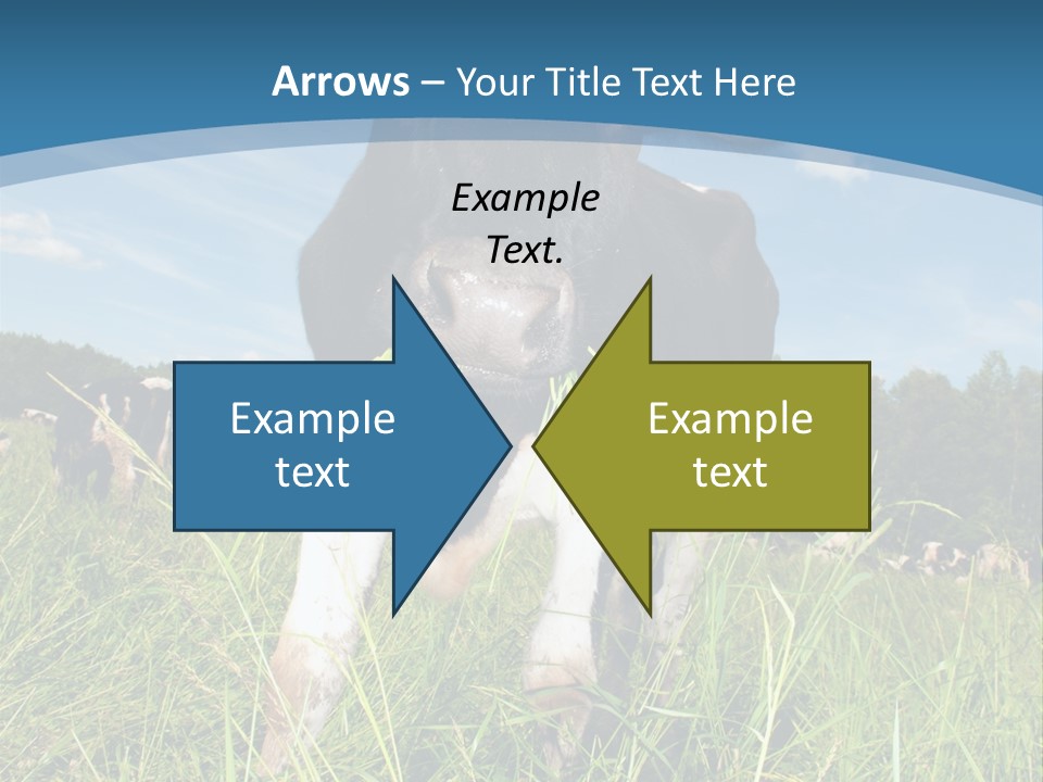 Stickers Vache PowerPoint Template