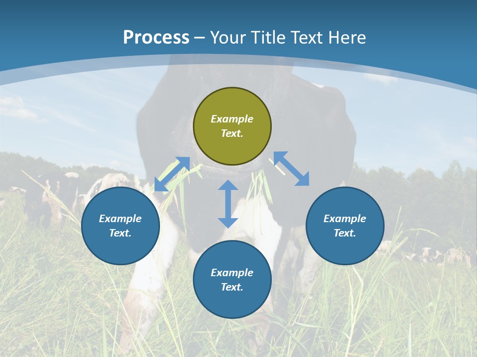 Stickers Vache PowerPoint Template