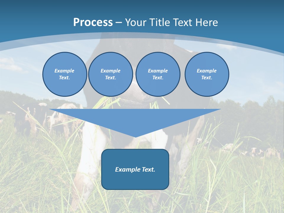 Stickers Vache PowerPoint Template