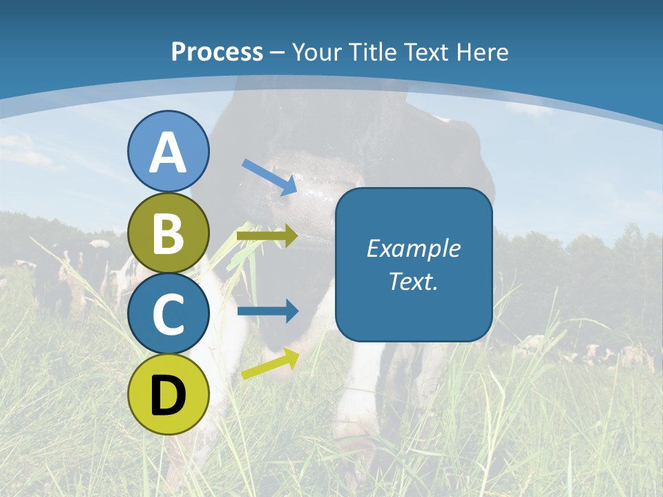 Stickers Vache PowerPoint Template